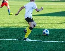 李亚鹏就加,盟李子柒团,队传闻首度,ManBetX,万博体育,ManBetX官网,万博体育官网,万博体育app下载