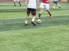 岁中冠球队,老总足协杯,阵前亮相,ManBetX,万博体育,ManBetX官网,万博体育官网,万博体育app下载