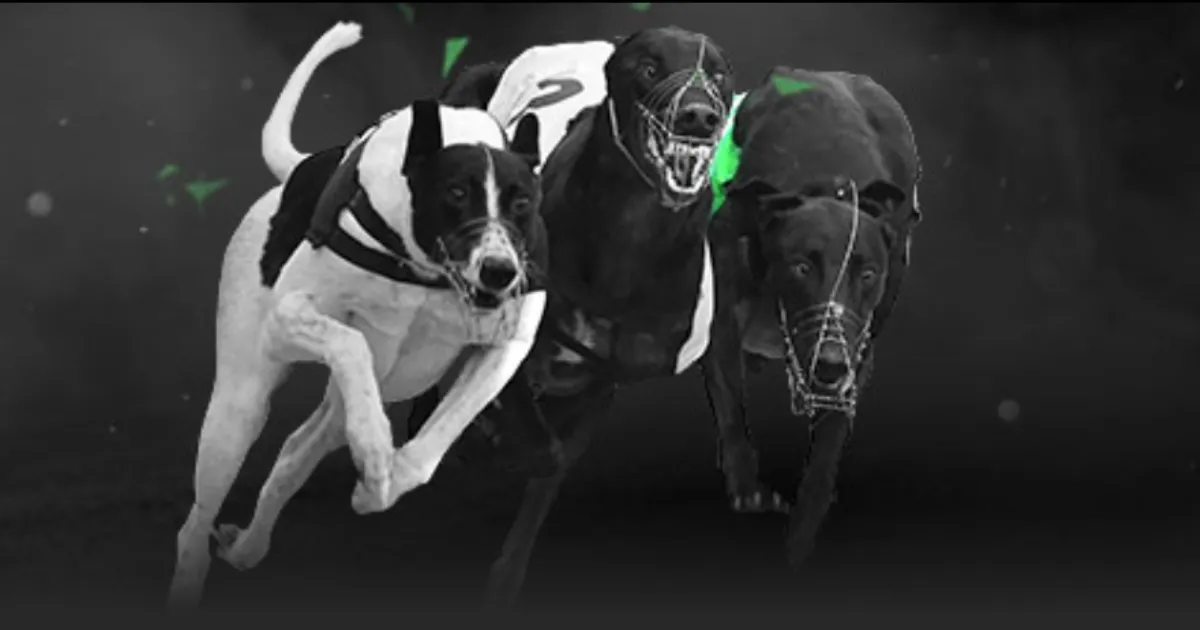 奥利塞创法,国队历史,任意球一蹴,ManBetX,万博体育,ManBetX官网,万博体育官网,万博体育app下载