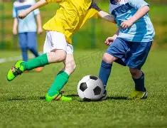 波鸿挑战保,级队,期号,ManBetX,万博体育,ManBetX官网,万博体育官网,万博体育app下载